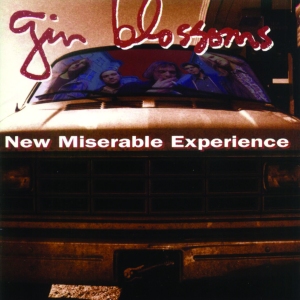 Gin_Blossoms-New_Miserable_Experience-Frontal